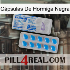 Cápsulas De Hormiga Negra new15